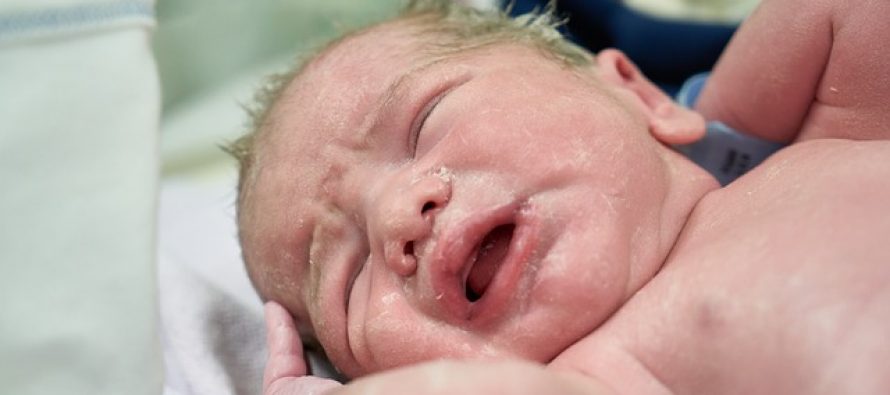 8 stvari koje treba da znate o novorođenčadima